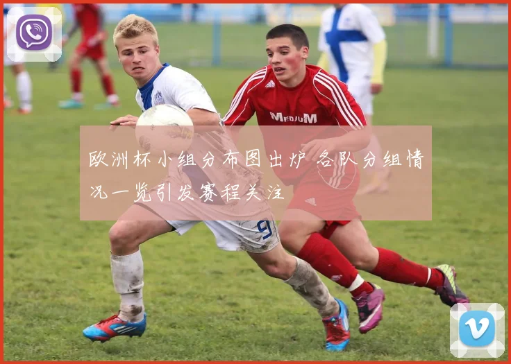 欧洲杯小组分布图出炉 各队分组情况一览引发赛程关注