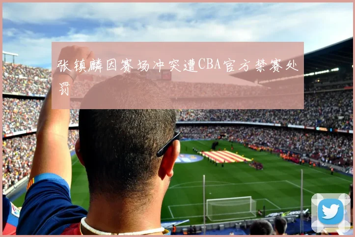 张镇麟因赛场冲突遭CBA官方禁赛处罚