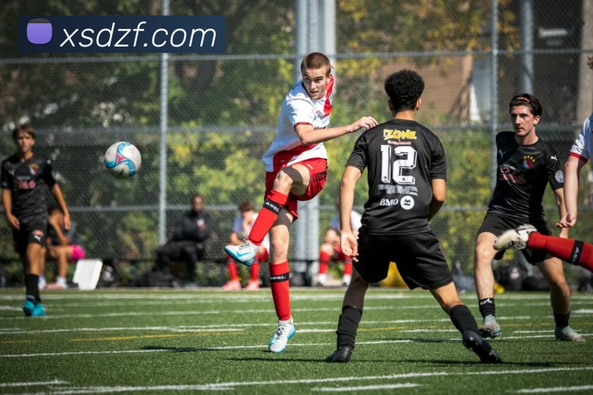 投注app官网APP 高清赛事图